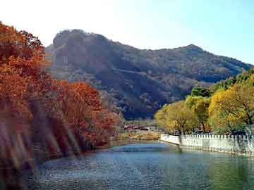 澳门二四六天天彩图库，奶吧杀菌机